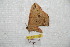  ( - BC-RBP 7303)  @12 [ ] Copyright (2013) Ron Brechlin Research Collection of Ron Brechlin