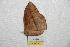  ( - BC-RBP 7320)  @12 [ ] Copyright (2013) Ron Brechlin Research Collection of Ron Brechlin