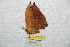  ( - BC-RBP 7333)  @12 [ ] Copyright (2013) Ron Brechlin Research Collection of Ron Brechlin