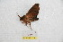 ( - BC-RBP 7354)  @12 [ ] Copyright (2013) Ron Brechlin Research Collection of Ron Brechlin