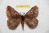  ( - BC-RBP 7372)  @12 [ ] Copyright (2013) Ron Brechlin Research Collection of Ron Brechlin