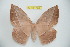  ( - BC-RBP 7373)  @11 [ ] Copyright (2013) Ron Brechlin Research Collection of Ron Brechlin