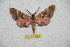  ( - BC-RBP 7392)  @13 [ ] Copyright (2013) Ron Brechlin Research Collection of Ron Brechlin