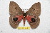  ( - BC-RBP 7446)  @14 [ ] Copyright (2013) Ron Brechlin Research Collection of Ron Brechlin