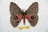  ( - BC-RBP 7448)  @14 [ ] Copyright (2013) Ron Brechlin Research Collection of Ron Brechlin