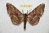  ( - BC-RBP 7495)  @13 [ ] Copyright (2013) Ron Brechlin Research Collection of Ron Brechlin