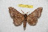  ( - BC-RBP 7502)  @14 [ ] Copyright (2013) Ron Brechlin Research Collection of Ron Brechlin