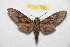  ( - BC-RBP 7530)  @13 [ ] Copyright (2013) Ron Brechlin Research Collection of Ron Brechlin