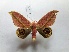  ( - BC-HKT 216)  @14 [ ] Copyright (2016) Ron Brechlin Research Collection of Ron Brechlin