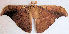 ( - BC-RBP 9509)  @12 [ ] Copyright (2015) Ron Brechlin Research Collection of Ron Brechlin