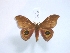  ( - BC-HKT 0200)  @11 [ ] Copyright (2014) Ron Brechlin Research Collection of Ron Brechlin