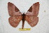  ( - BC-RBP 11803)  @11 [ ] Copyright (2020) Ron Brechlin Research Collection of Ron Brechlin