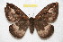  ( - BC-RBP 8201)  @13 [ ] Copyright (2014) Ron Brechlin Research Collection of Ron Brechlin