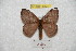  ( - BC-RBP 8223)  @13 [ ] Copyright (2014) Ron Brechlin Research Collection of Ron Brechlin