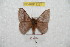  ( - BC-RBP 8237)  @13 [ ] Copyright (2014) Ron Brechlin Research Collection of Ron Brechlin