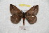  ( - BC-RBP 8298)  @13 [ ] Copyright (2014) Ron Brechlin Research Collection of Ron Brechlin