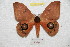  ( - BC-RBP 8346)  @14 [ ] Copyright (2014) Ron Brechlin Research Collection of Ron Brechlin