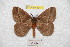  ( - BC-RBP 8347)  @13 [ ] Copyright (2014) Ron Brechlin Research Collection of Ron Brechlin