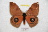  ( - BC-RBP 8358)  @14 [ ] Copyright (2014) Ron Brechlin Research Collection of Ron Brechlin