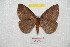  ( - BC-RBP 8395)  @13 [ ] Copyright (2014) Ron Brechlin Research Collection of Ron Brechlin
