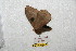  ( - BC-RBP 8417)  @12 [ ] Copyright (2014) Ron Brechlin Research Collection of Ron Brechlin