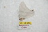  ( - BC-RBP 8421)  @11 [ ] Copyright (2014) Ron Brechlin Research Collection of Ron Brechlin