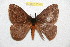  ( - BC-RBP 10545)  @11 [ ] Copyright (2017) Ron Brechlin Research Collection of Ron Brechlin