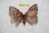  ( - BC-RBP 11854)  @11 [ ] Copyright (2020) Ron Brechlin Research Collection of Ron Brechlin