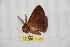  ( - BC-RBP 10584)  @11 [ ] Copyright (2017) Ron Brechlin Research Collection of Ron Brechlin