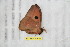  ( - BC-RBP 10602)  @12 [ ] Copyright (2017) Ron Brechlin Research Collection of Ron Brechlin