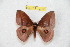  ( - BC-RBP 10607)  @11 [ ] Copyright (2017) Ron Brechlin Research Collection of Ron Brechlin