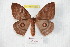  ( - BC-RBP 8480)  @13 [ ] Copyright (2014) Ron Brechlin Research Collection of Ron Brechlin