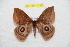 ( - BC-RBP 10631)  @14 [ ] Copyright (2017) Ron Brechlin Research Collection of Ron Brechlin
