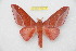  ( - BC-RBP 10642)  @11 [ ] Copyright (2017) Ron Brechlin Research Collection of Ron Brechlin