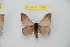  ( - BC-RBP 11885)  @11 [ ] copyright (2020) Ron Brechlin Research Collection of Ron Brechlin
