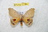  ( - BC-RBP 11902)  @11 [ ] copyright (2020) Ron Brechlin Research Collection of Ron Brechlin