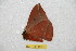  ( - BC-RBP 10661)  @12 [ ] Copyright (2017) Ron Brechlin Research Collection of Ron Brechlin