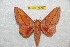  ( - BC-RBP 10670)  @11 [ ] Copyright (2017) Ron Brechlin Research Collection of Ron Brechlin