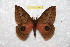  ( - BC-RBP 8487)  @13 [ ] Copyright (2014) Ron Brechlin Research Collection of Ron Brechlin