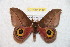  ( - BC-RBP 8489)  @14 [ ] Copyright (2014) Ron Brechlin Research Collection of Ron Brechlin