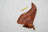  ( - BC-RBP 10677)  @12 [ ] Copyright (2017) Ron Brechlin Research Collection of Ron Brechlin