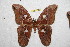  ( - BC-RBP 11987)  @11 [ ] copyright (2020) Ron Brechlin Research Collection of Ron Brechlin