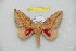  ( - BC-RBP 10732)  @13 [ ] Copyright (2018) Ron Brechlin Research Collection of Ron Brechlin