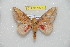  ( - BC-RBP 10733)  @13 [ ] Copyright (2018) Ron Brechlin Research Collection of Ron Brechlin