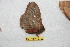  ( - BC-RBP 10792)  @11 [ ] Copyright (2018) Ron Brechlin Research Collection of Ron Brechlin