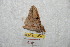  ( - BC-RBP 8660)  @12 [ ] Copyright (2014) Ron Brechlin Research Collection of Ron Brechlin