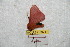  ( - BC-RBP 8671)  @12 [ ] Copyright (2014) Ron Brechlin Research Collection of Ron Brechlin