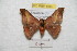  ( - BC-RBP 8689)  @13 [ ] Copyright (2014) Ron Brechlin Research Collection of Ron Brechlin