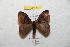  ( - BC-RBP 8693)  @13 [ ] Copyright (2014) Ron Brechlin Research Collection of Ron Brechlin