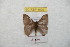  ( - BC-RBP 8699)  @12 [ ] Copyright (2014) Ron Brechlin Research Collection of Ron Brechlin